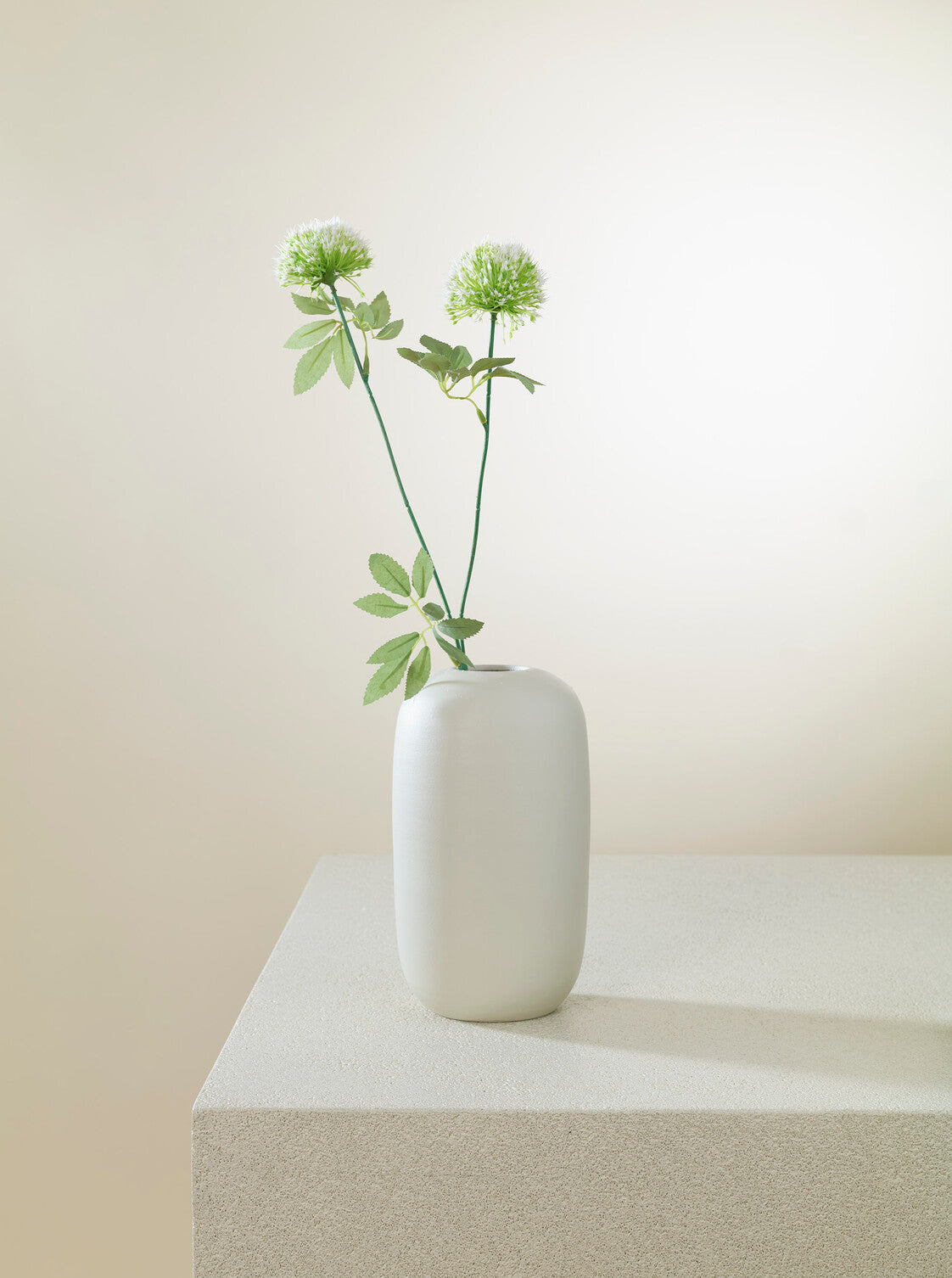 Allium vert