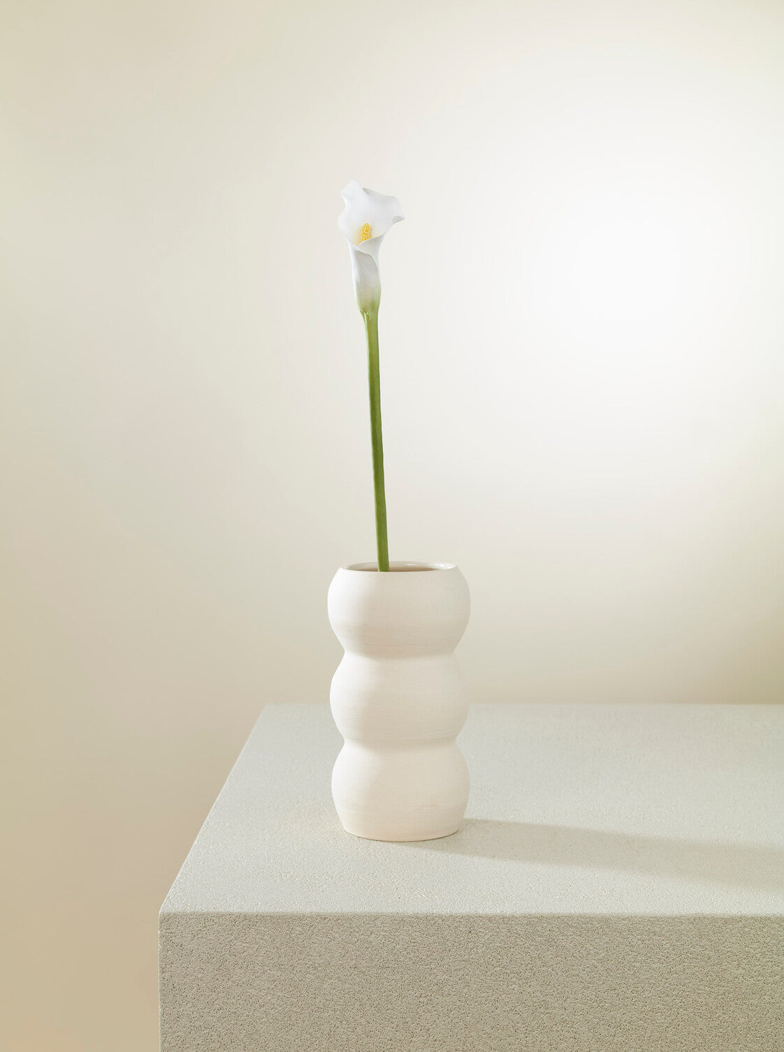 Calla blanc