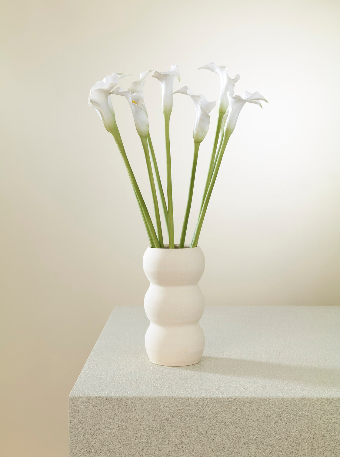 Calla blanc
