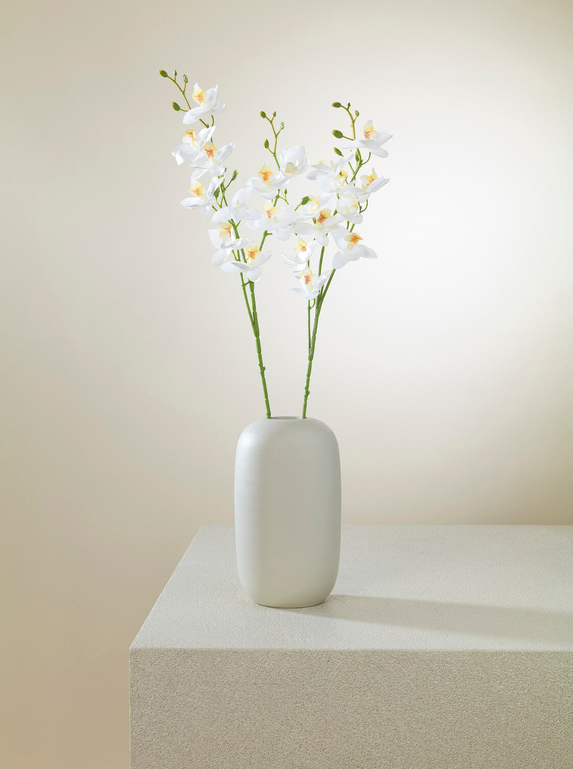 Orchidée blanche