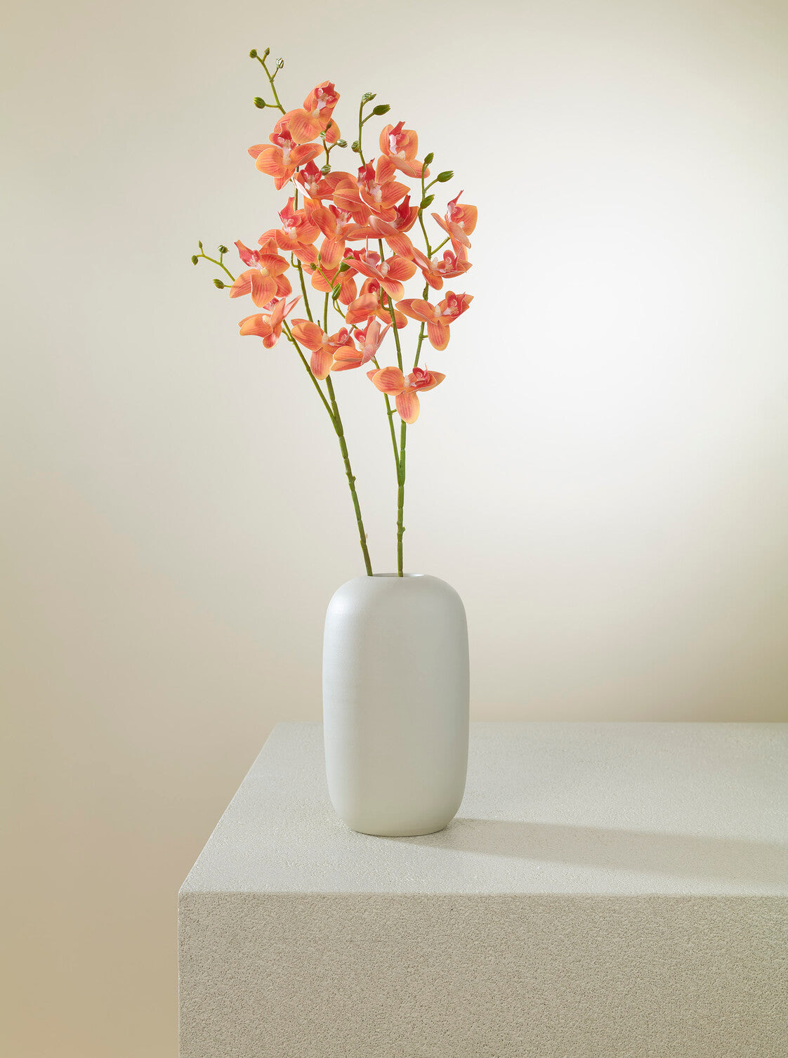 Orchidée orange