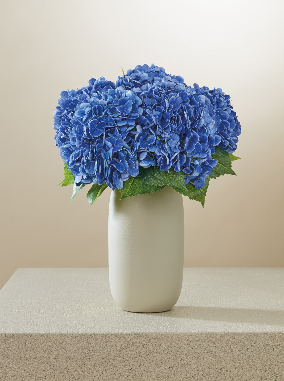Bouquet d'Hortensias bleus intense