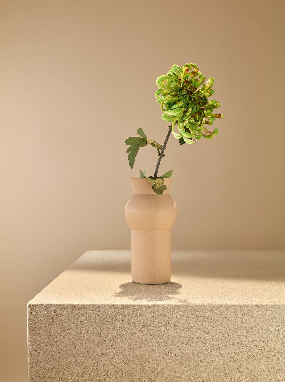 Cactus Dahlia vert