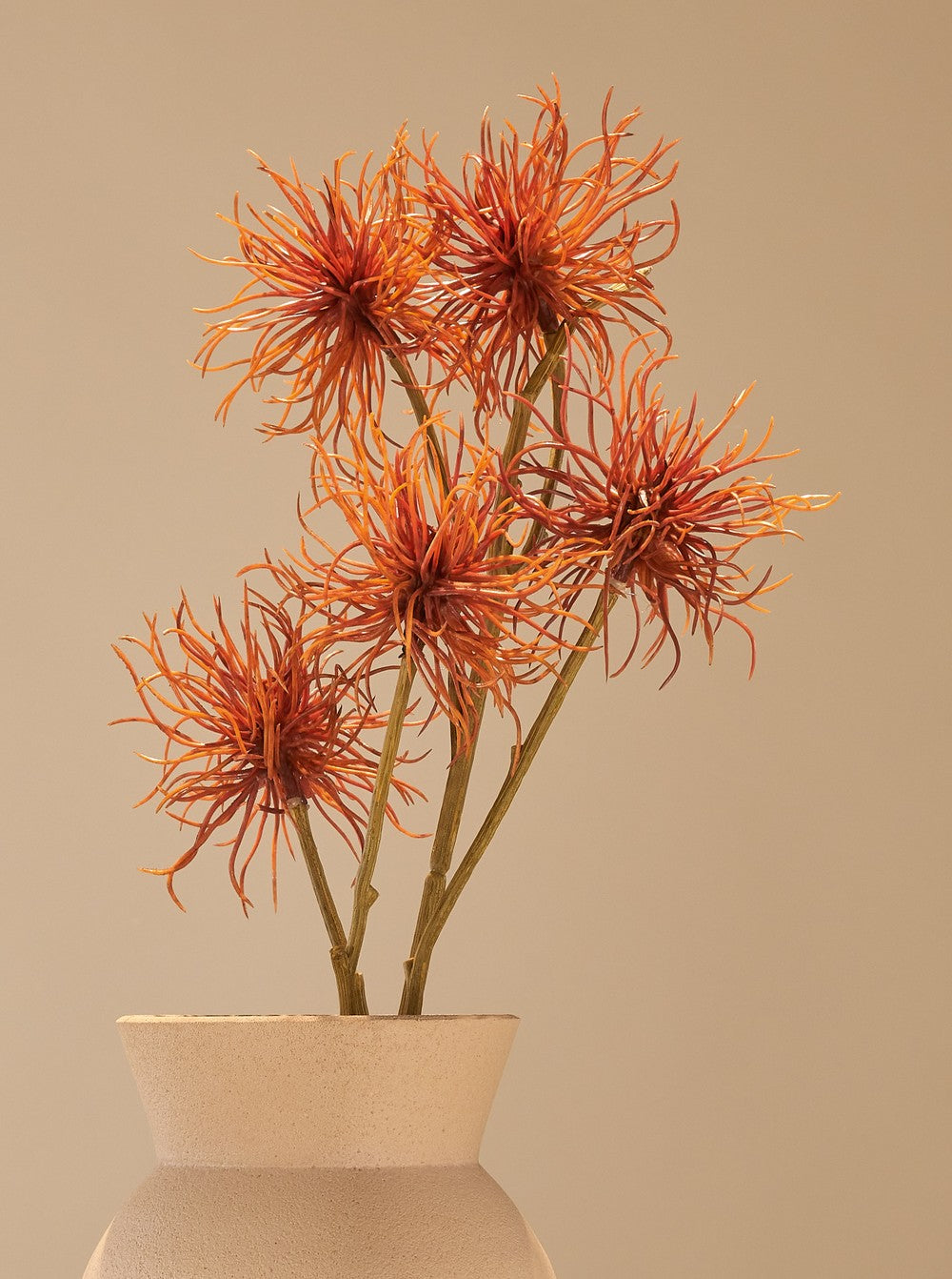 Chrysanthème orange - détail