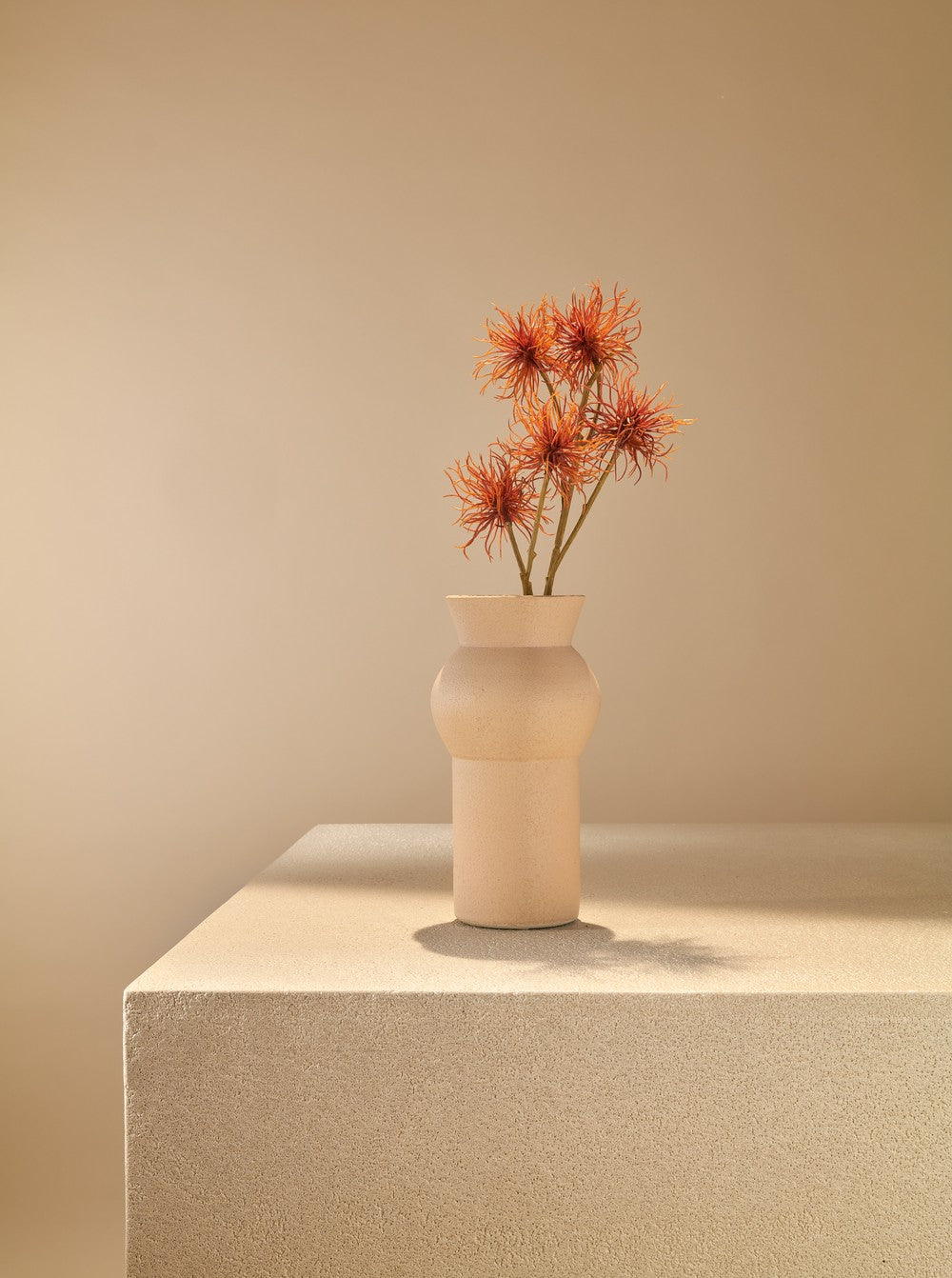 Chrysanthème orange