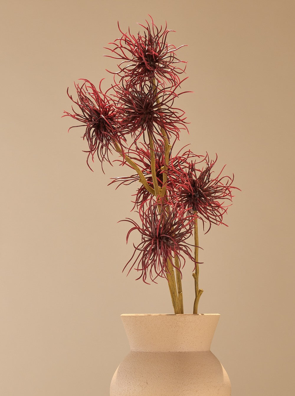 Chrysanthème rouge - détail