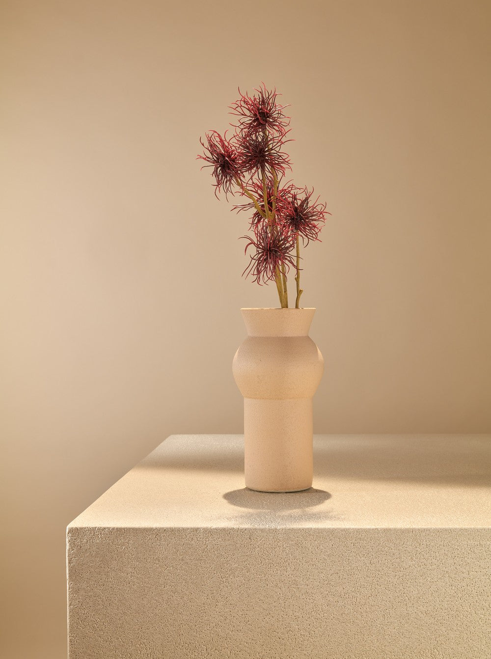 Chrysanthème rouge