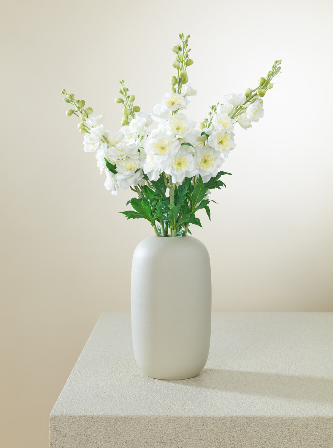 Delphinium blanc