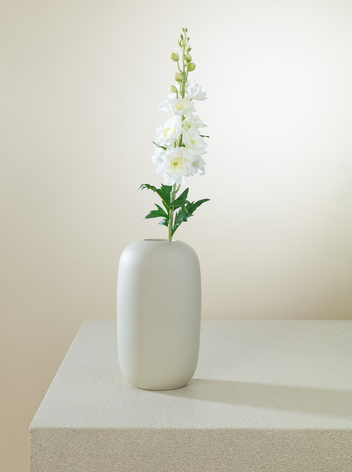 Delphinium blanc