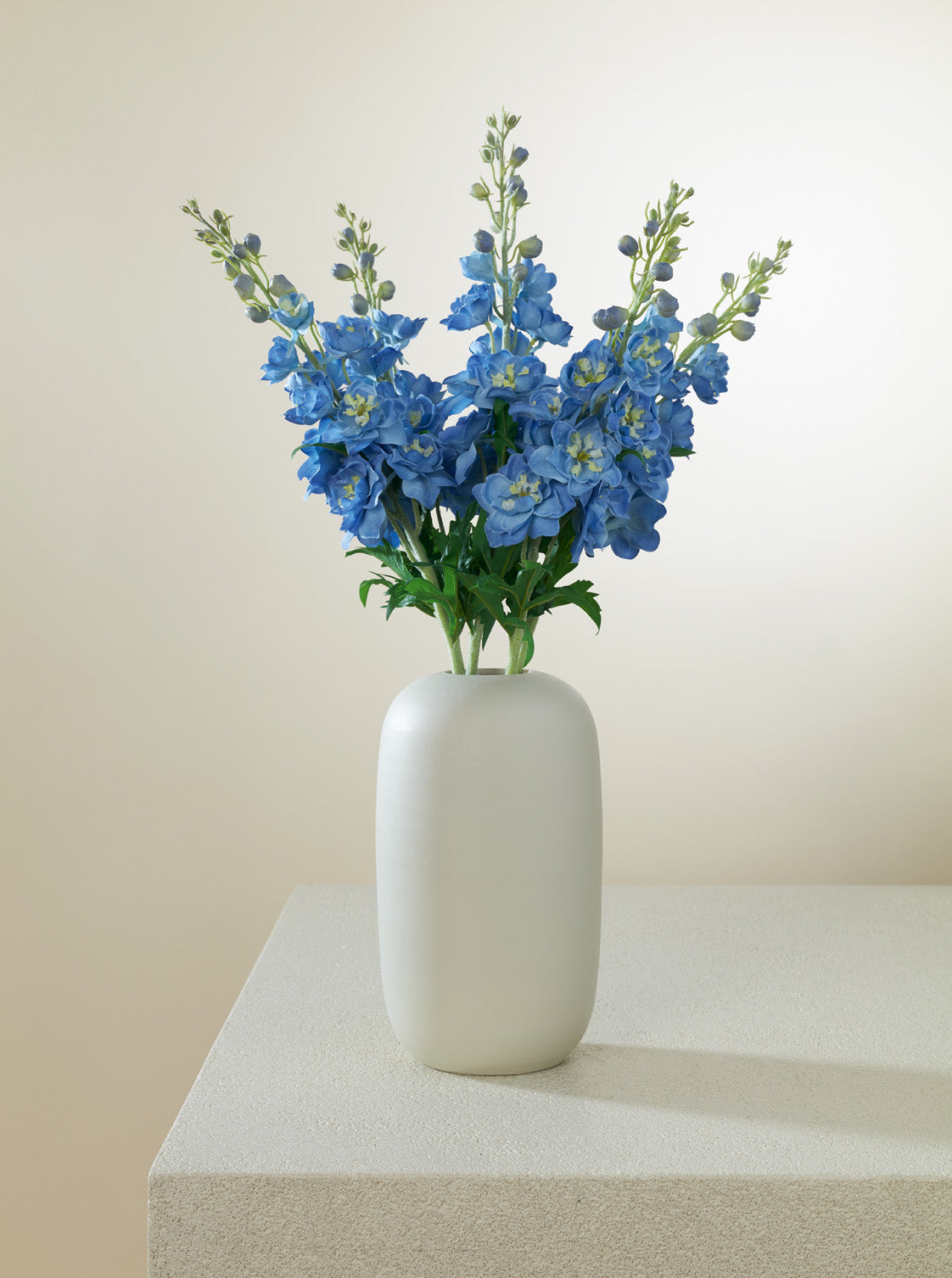 Delphinium bleu