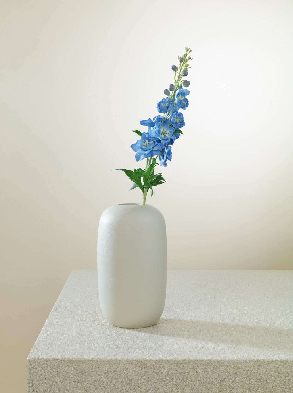 Delphinium bleu