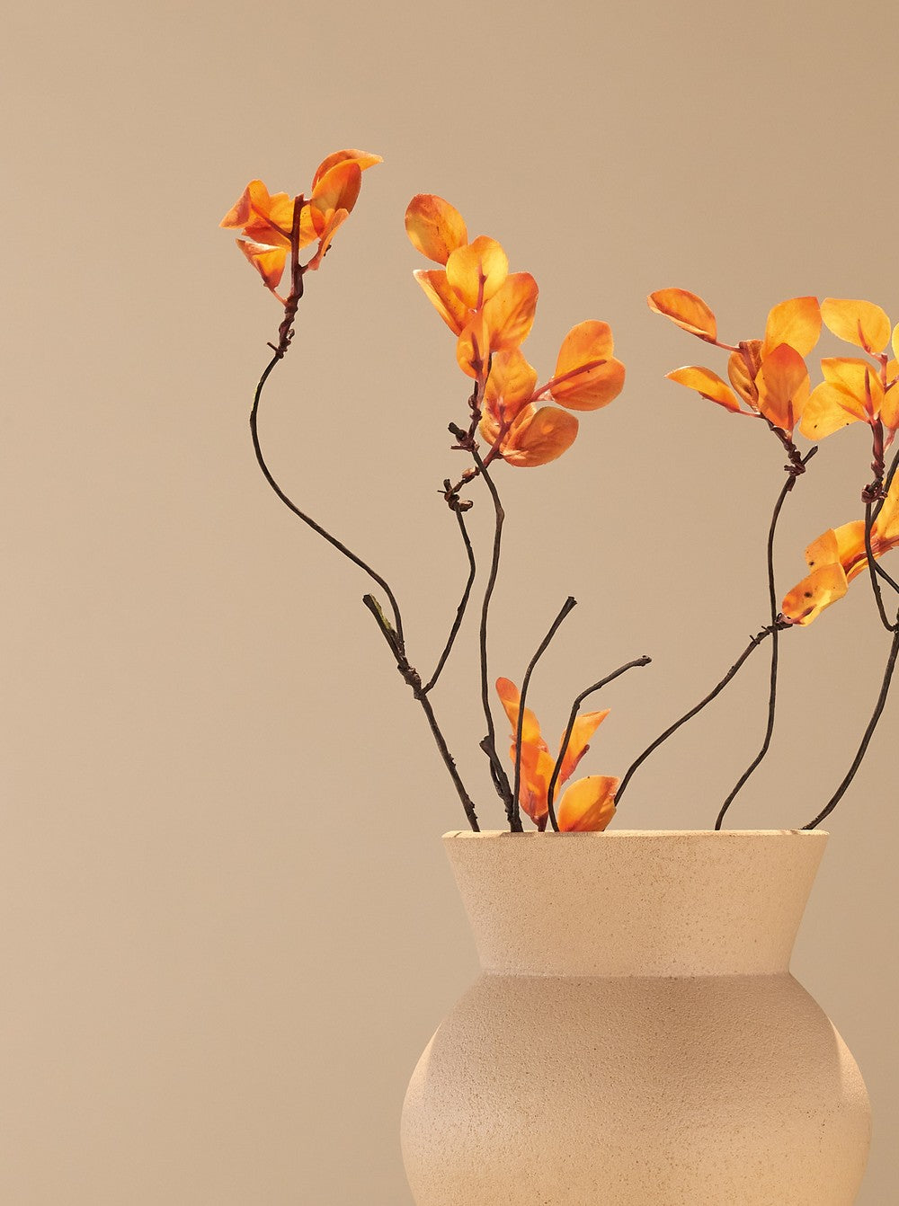 Feuille d'automne orange