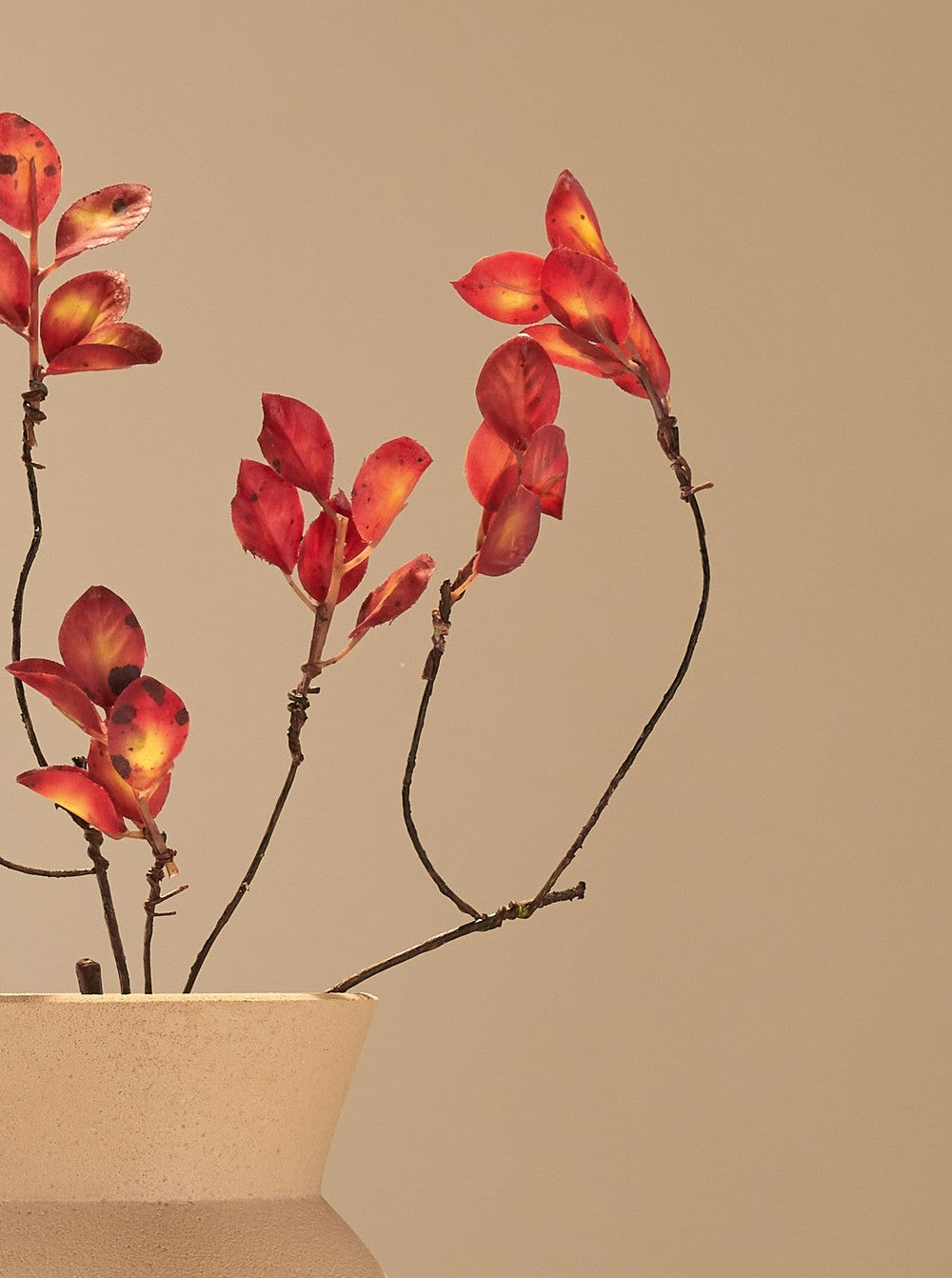 Feuille d'automne rouge