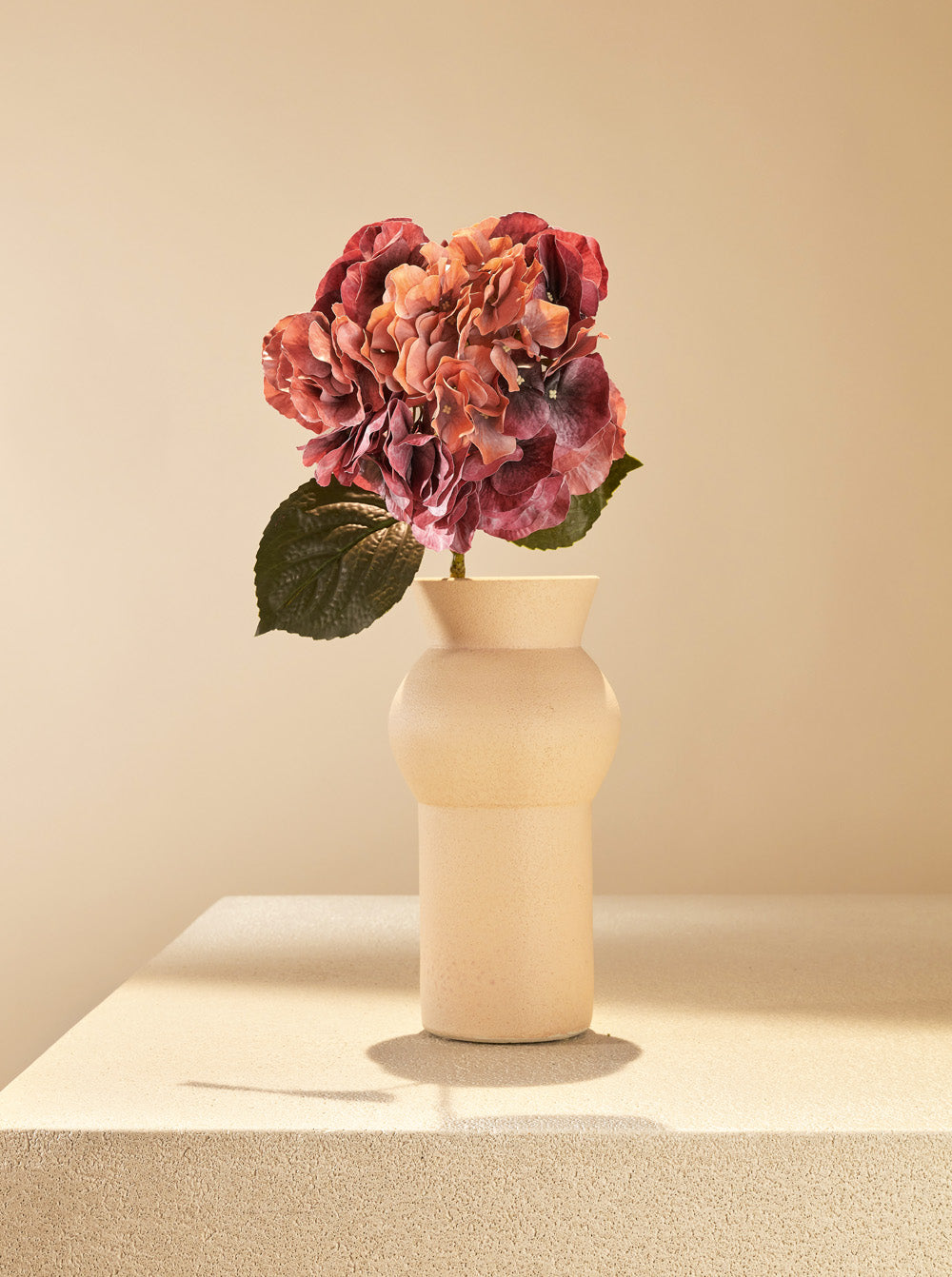 Hortensia passion