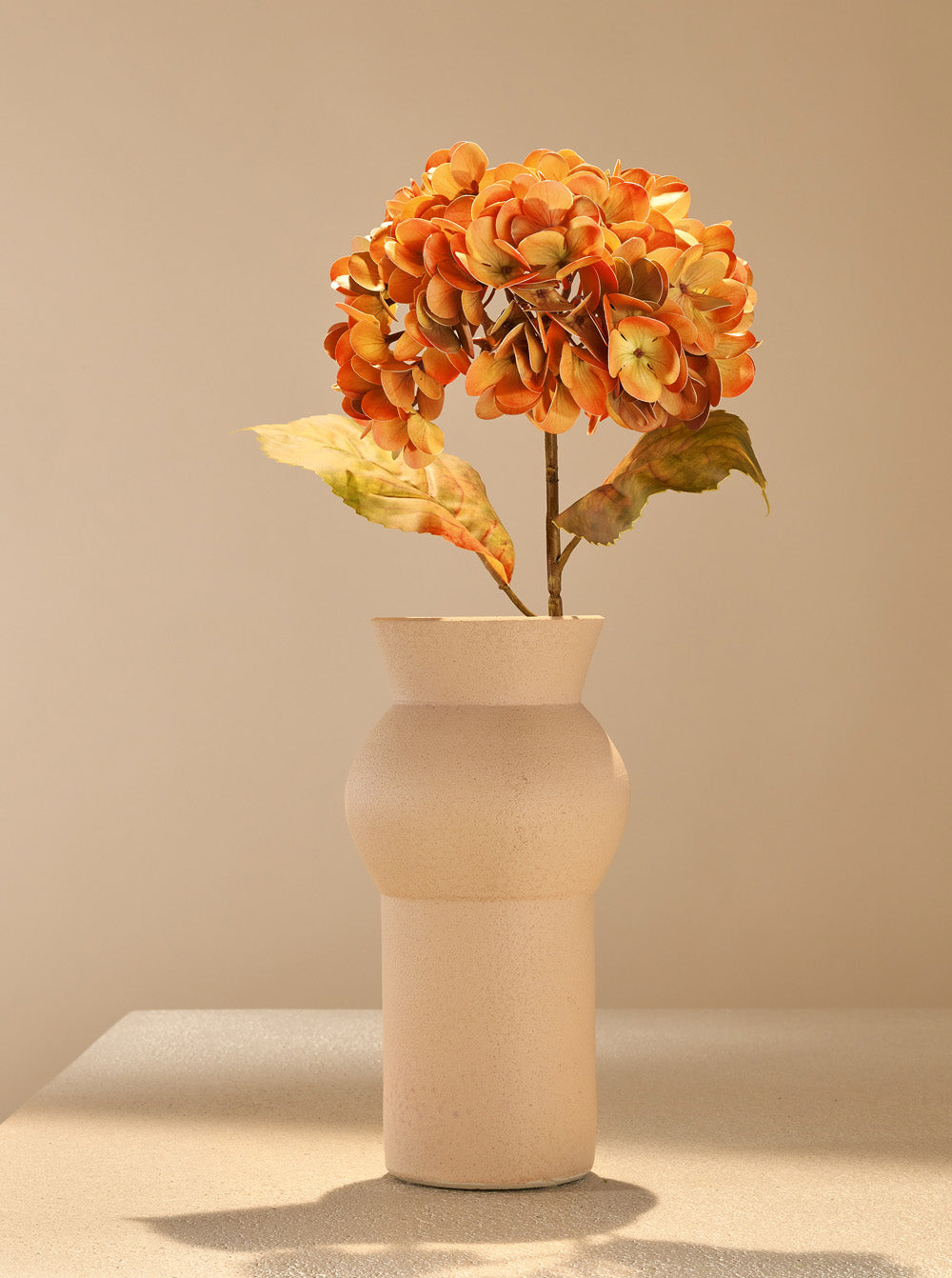 Hortensia d'automne orange