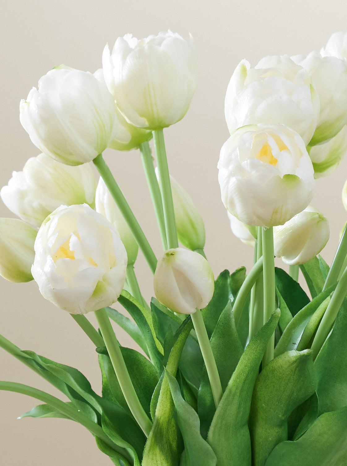 Grand Bouquet de Tulipes blanches 30pc
