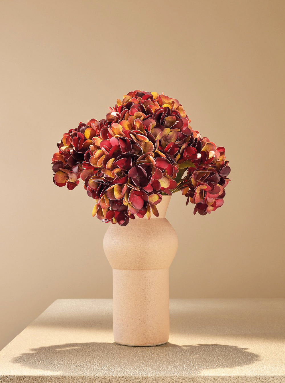 Hortensia d'automne bordeau