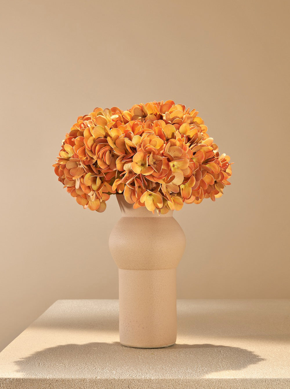Hortensia d'automne orange