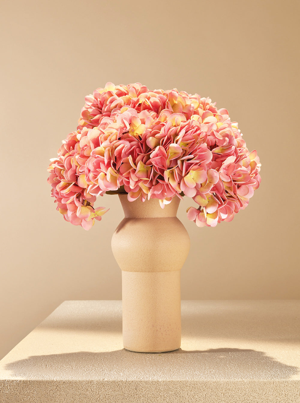 Hortensia d'automne rose