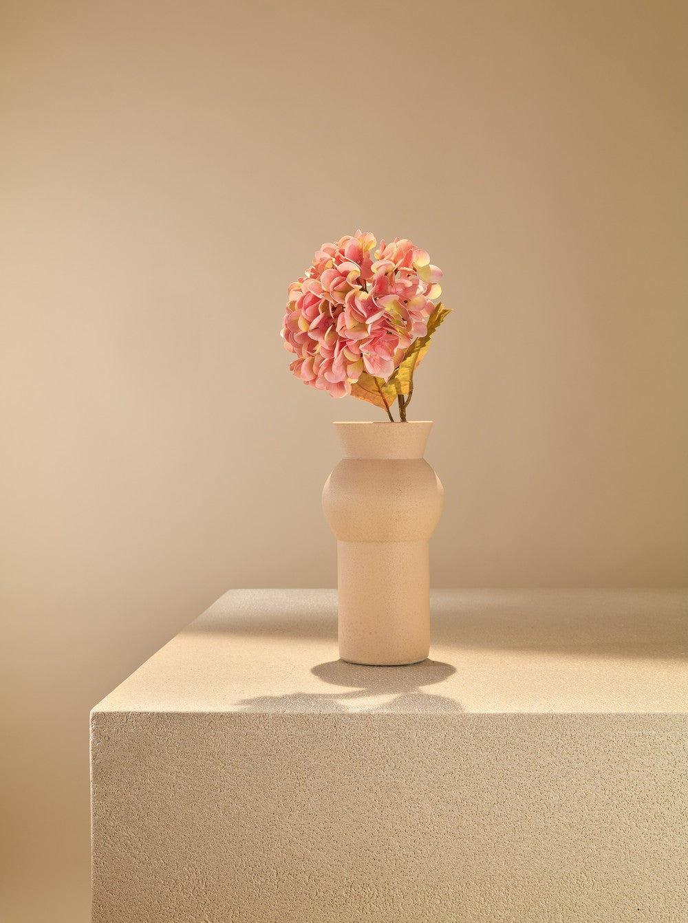 Hortensia d'automne rose