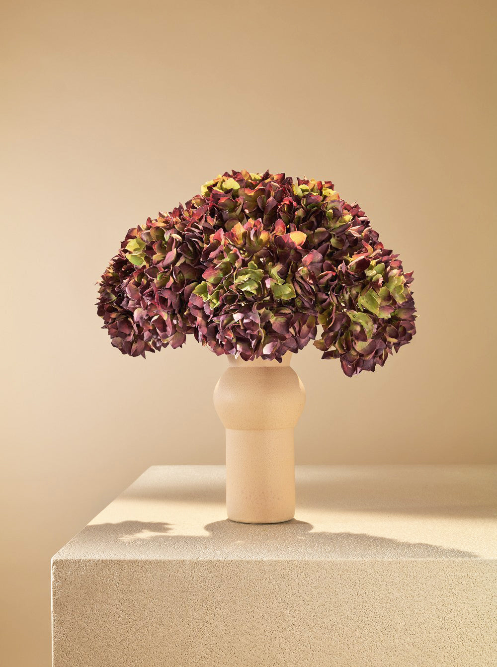Hortensia deluxe