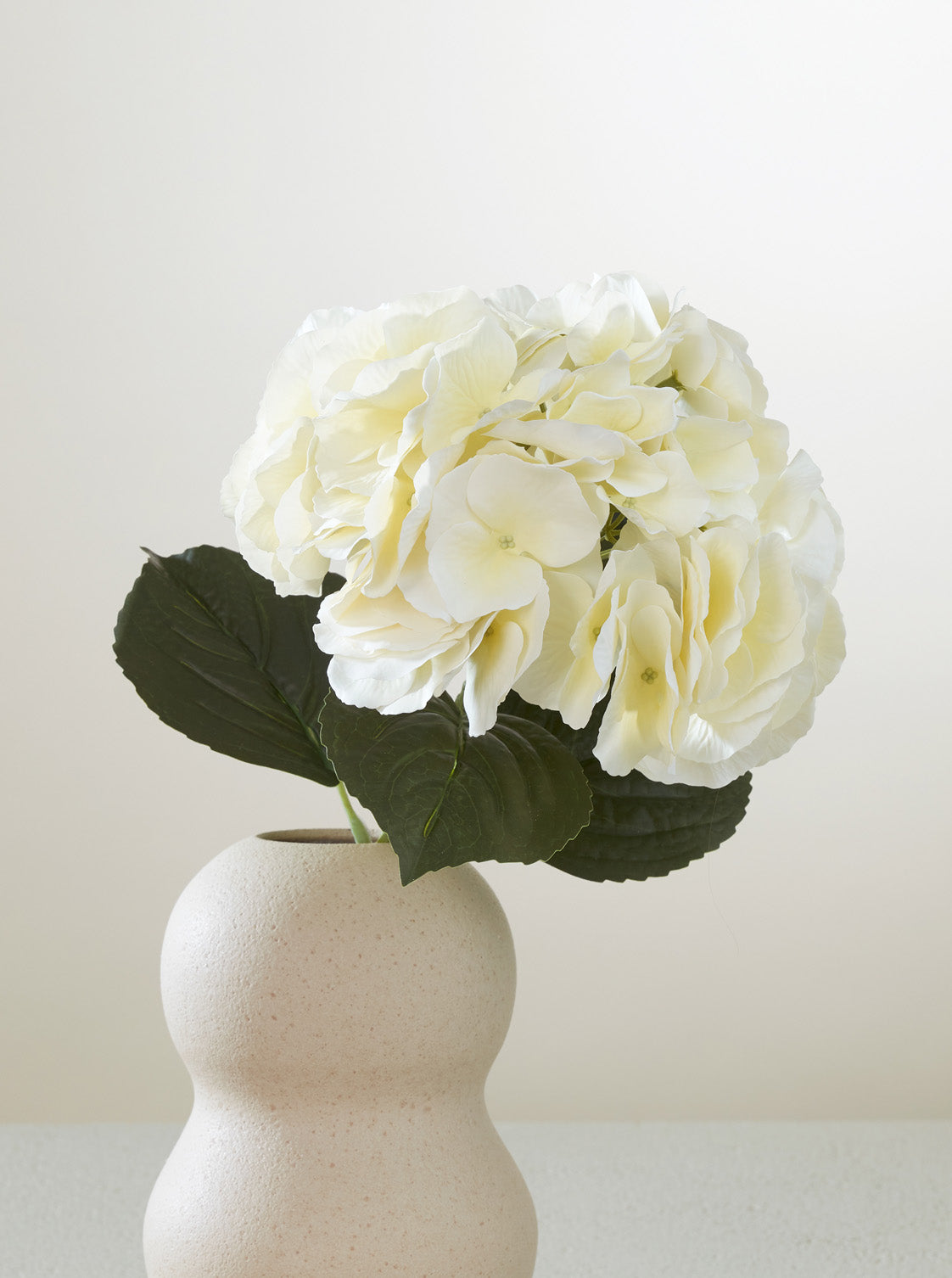 Hortensia Dune