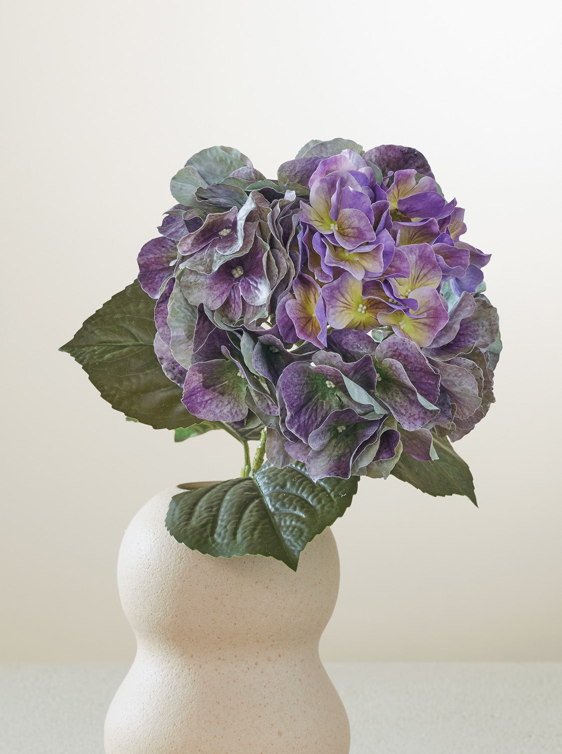 Hortensia Mauve