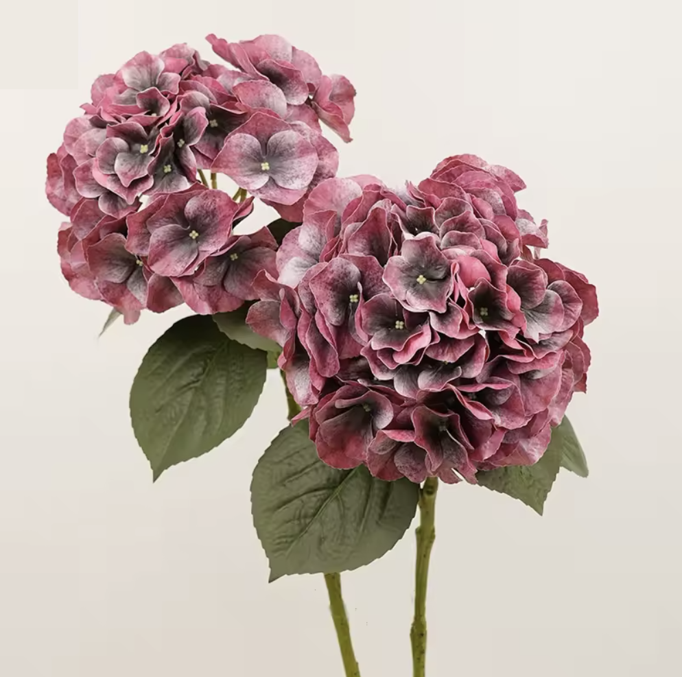 Painted hydrangea