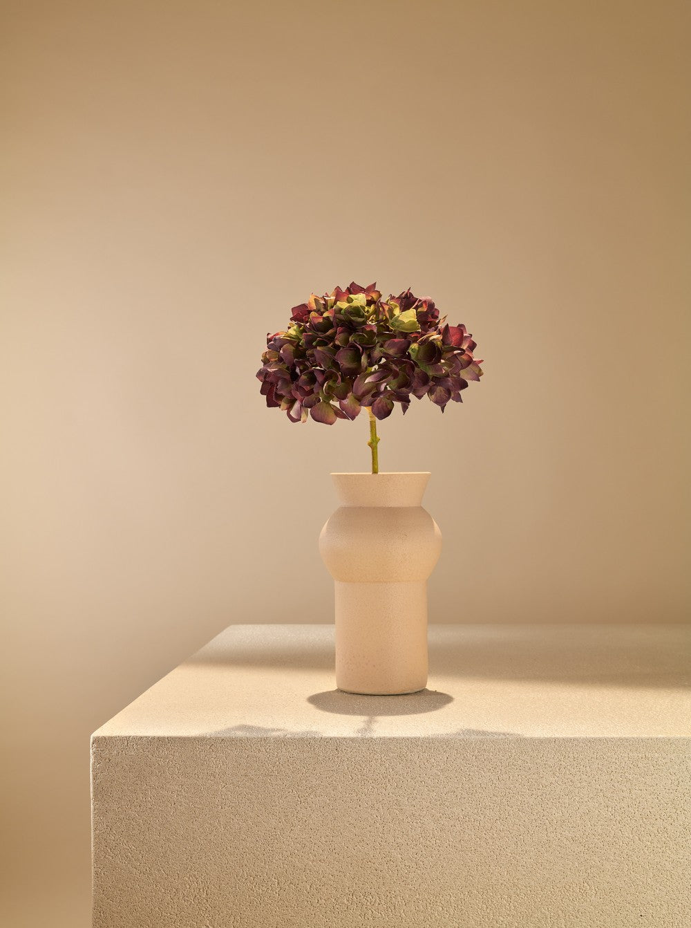 Hortensia deluxe