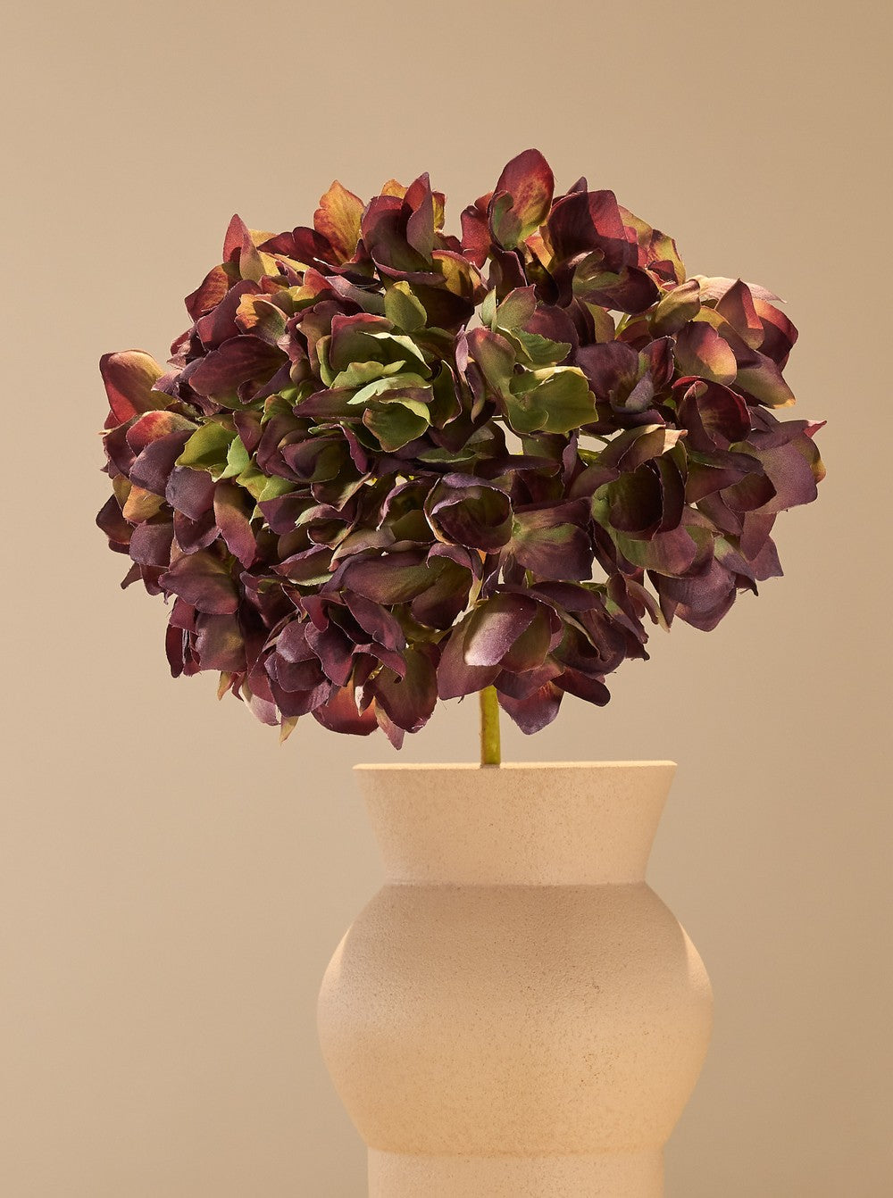 Hortensia deluxe - détail