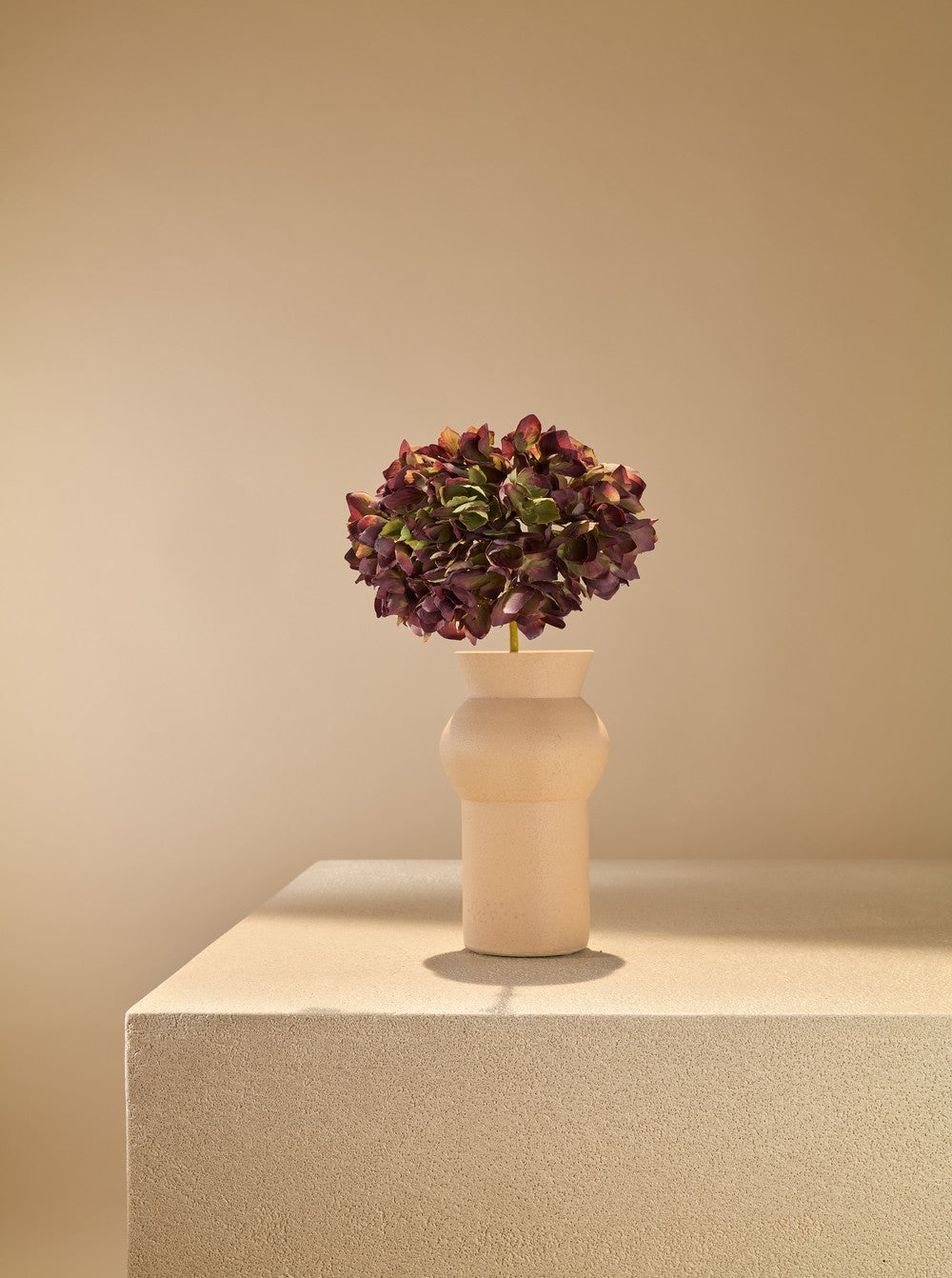 Hortensia deluxe