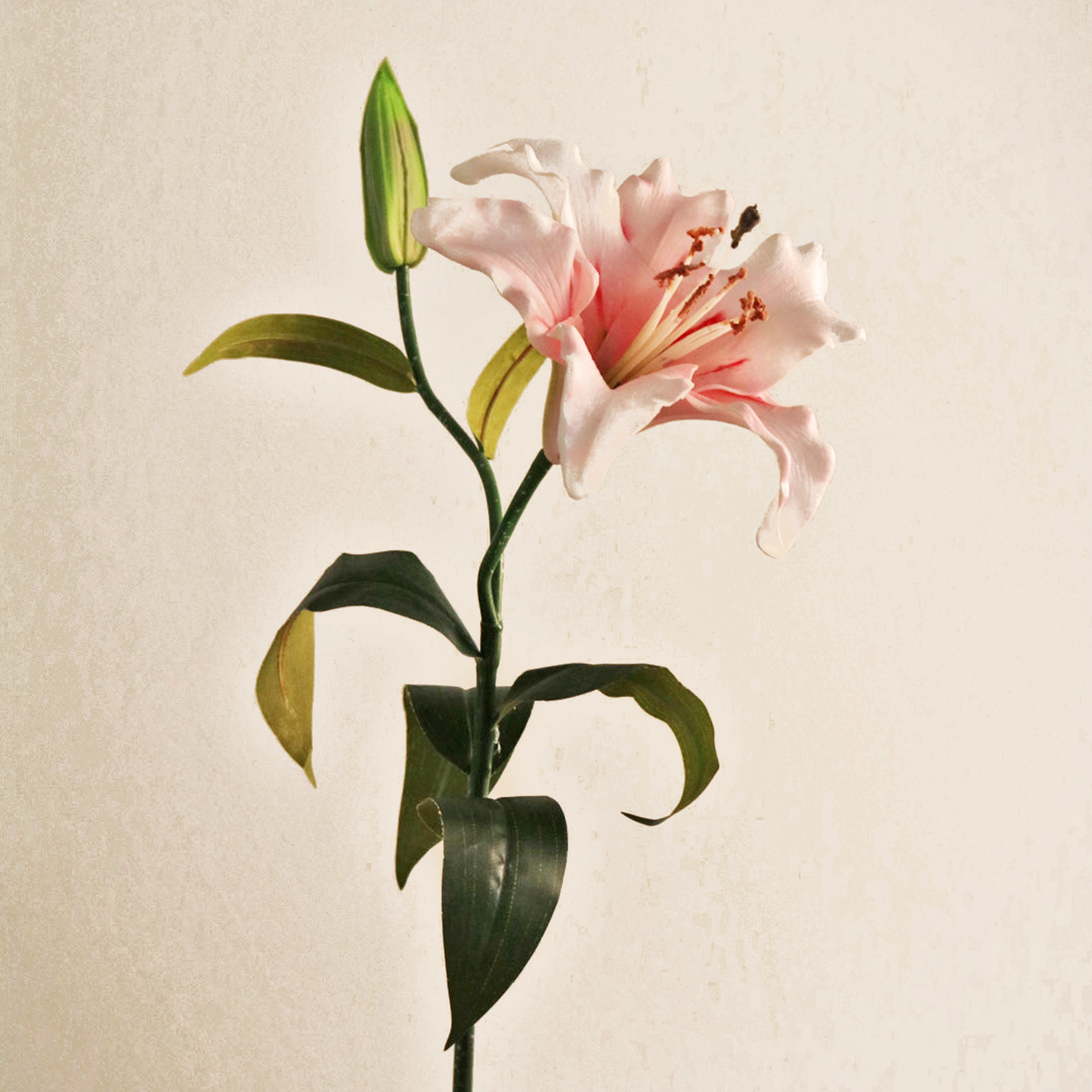 3-head lily