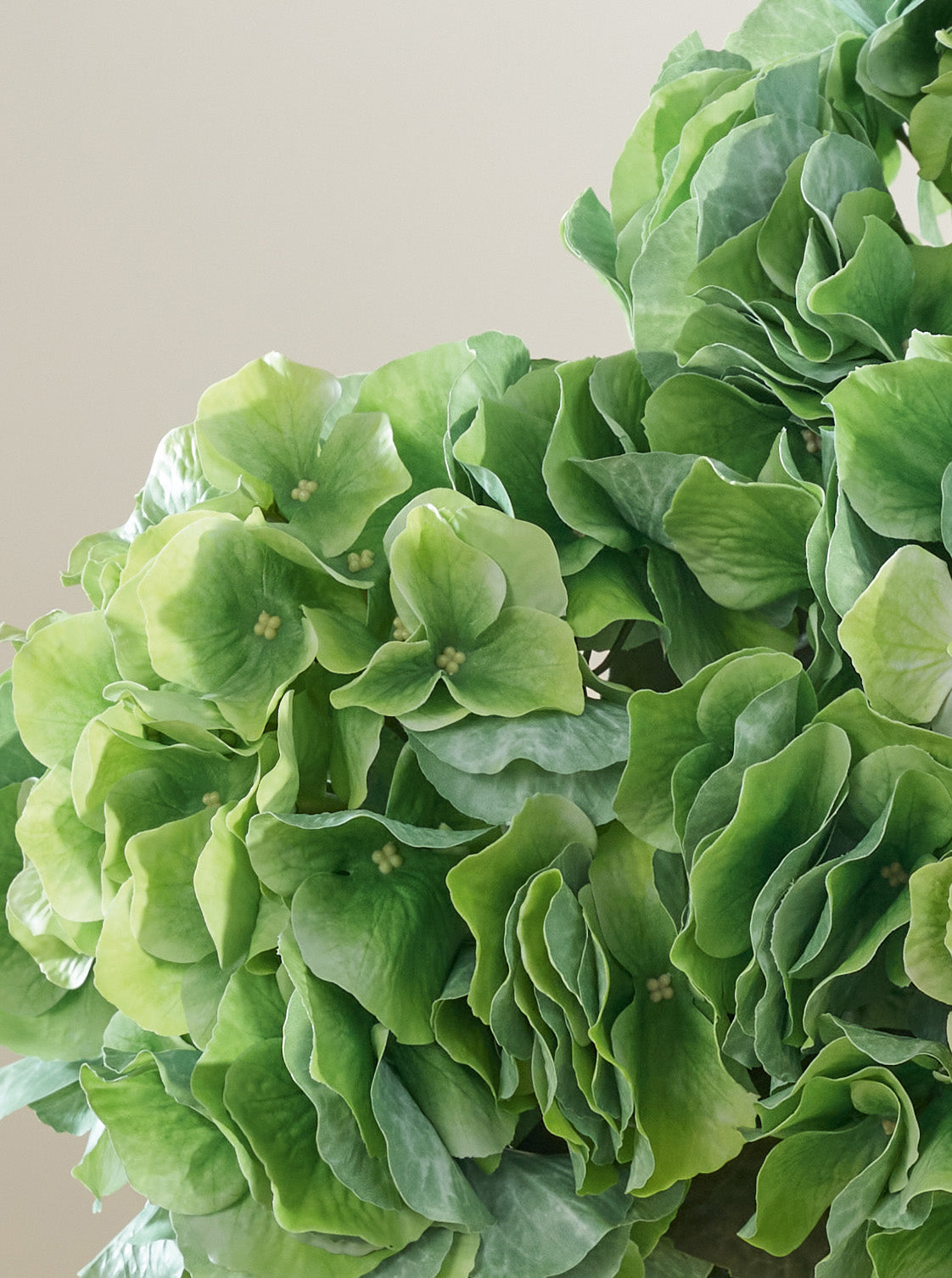 Bouquet d'Hortensias Matcha