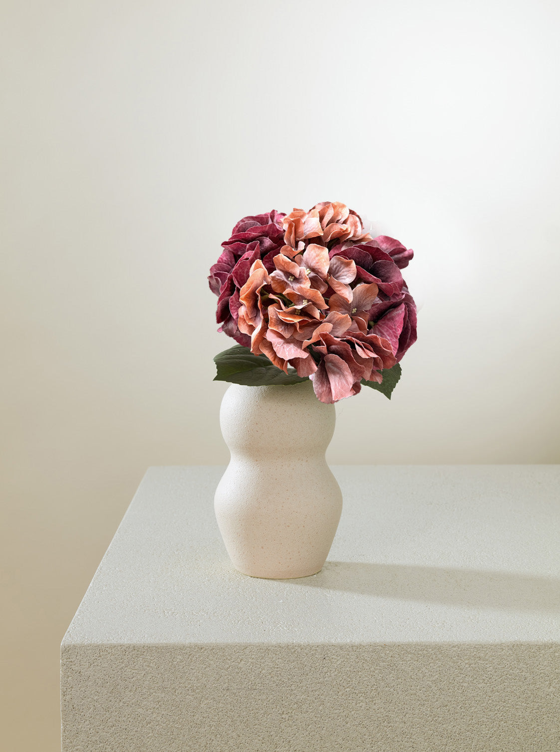 Hortensia passion