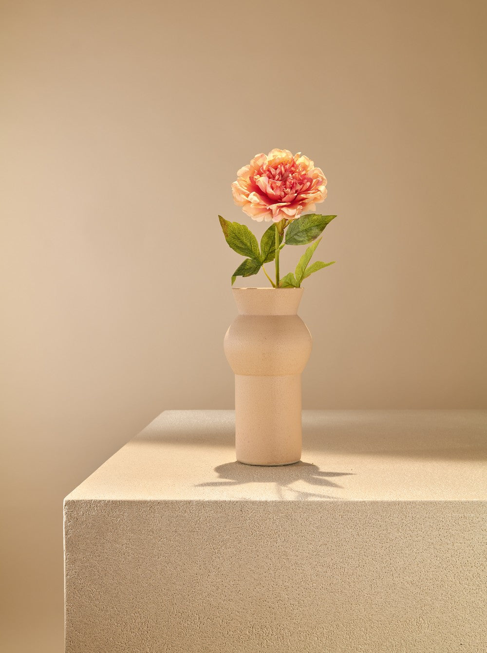 Pivoine orange