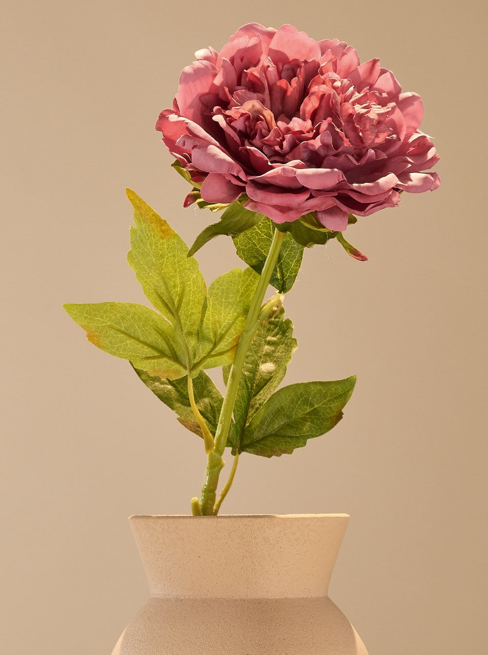Pivoine rose poudrée - détail
