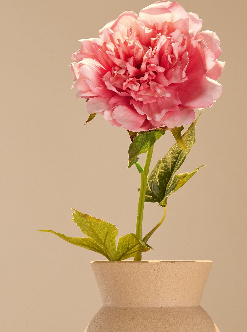 Pivoine rose - détail