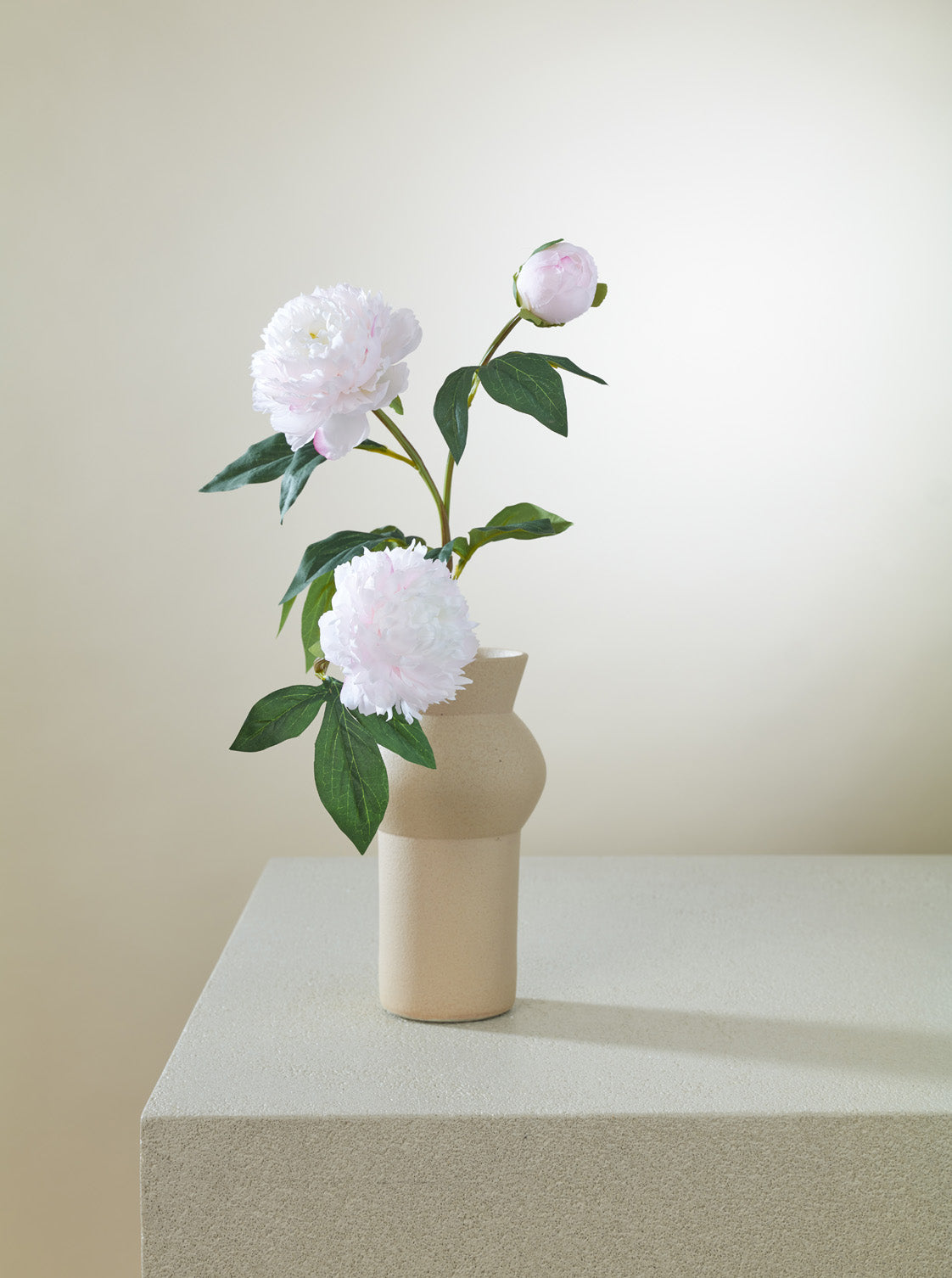Pivoine rose