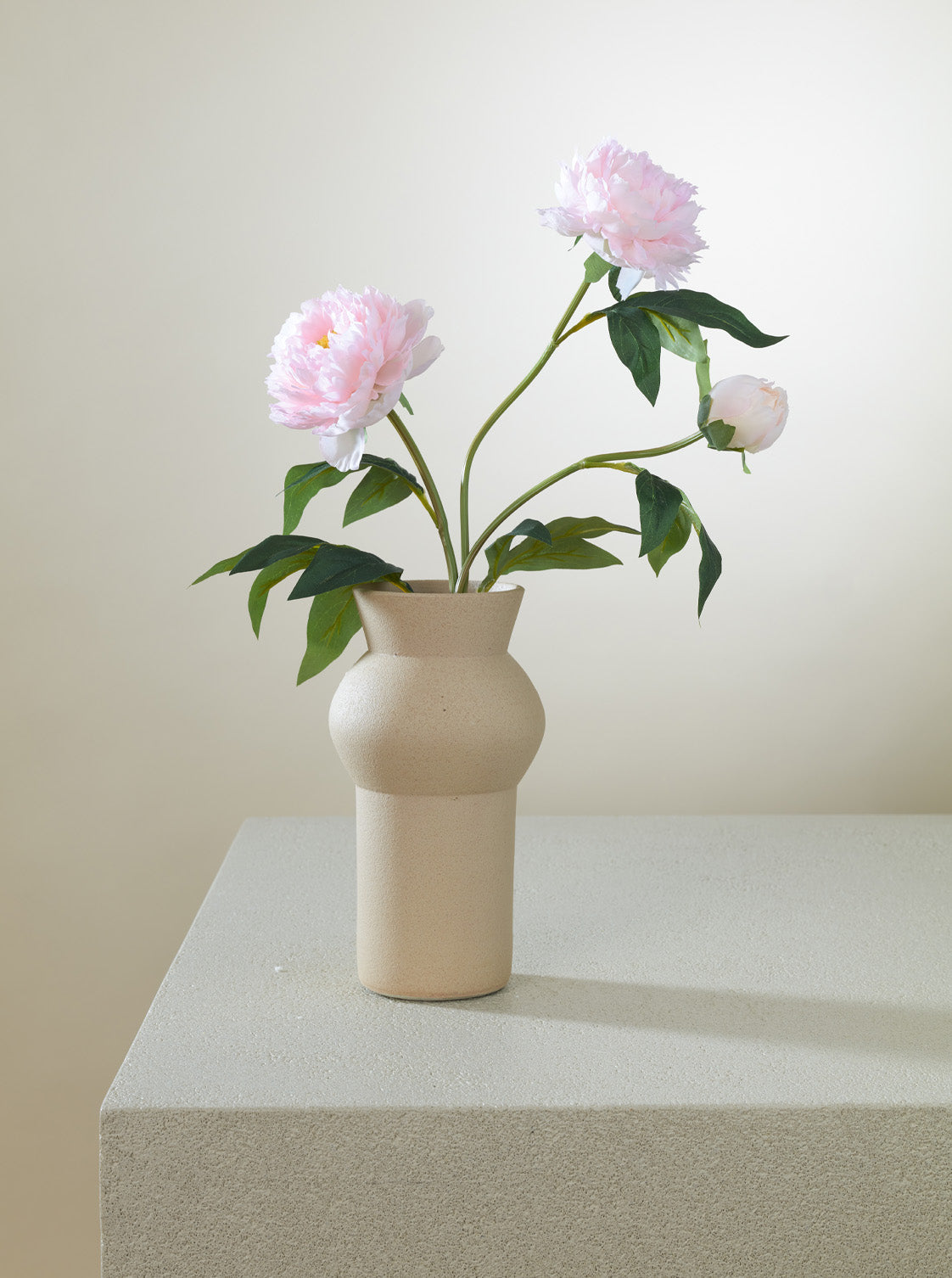 Pivoine rose intense
