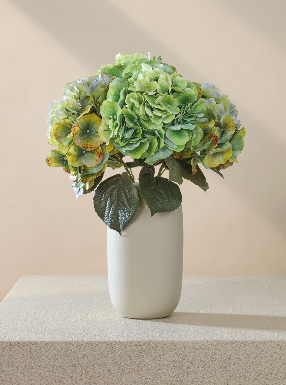 Symphonie d'Hortensias