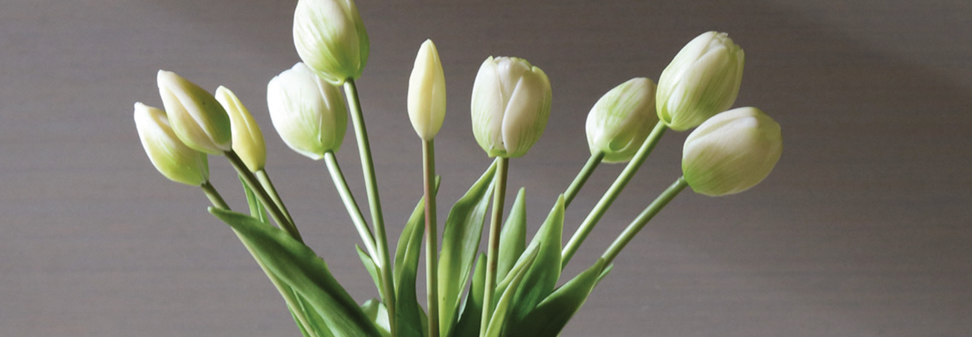 Tulipes Sevres
