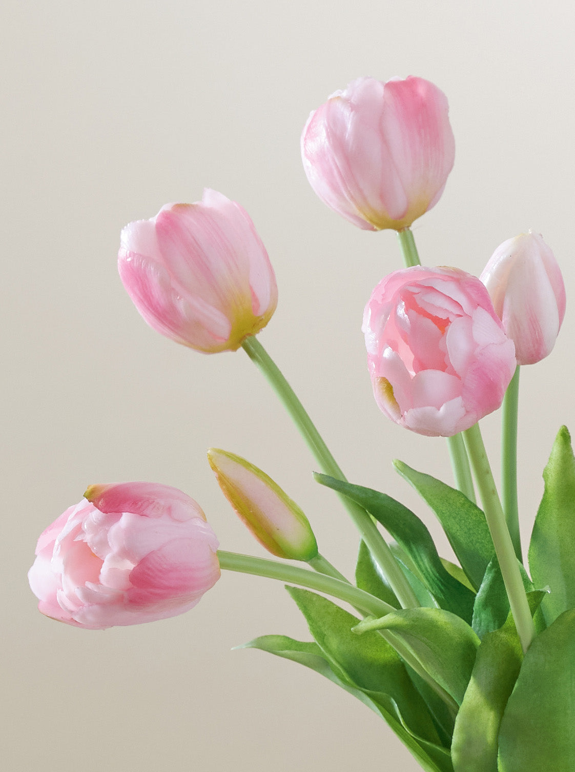 Bouquet de Tulipes roses 10pc