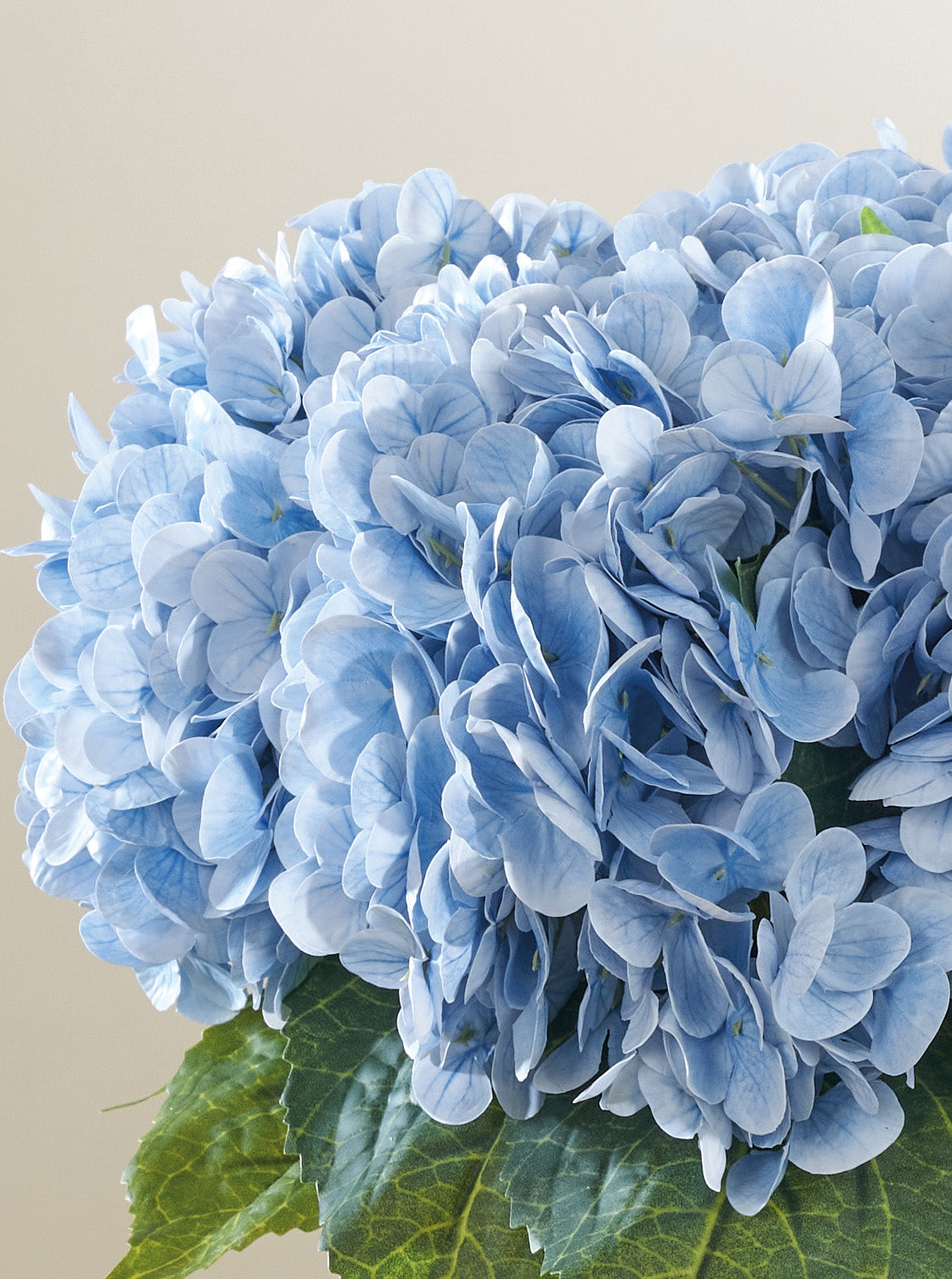 Bouquet d'Hortensias bleus